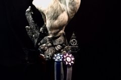 2017 State Champion Gamehead Dall Sheep